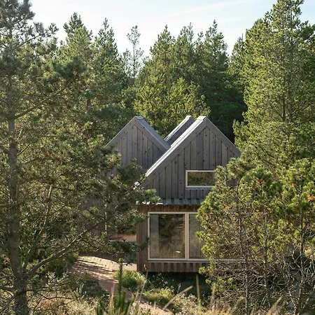 Architect-designed House Among Dunes And Trees *