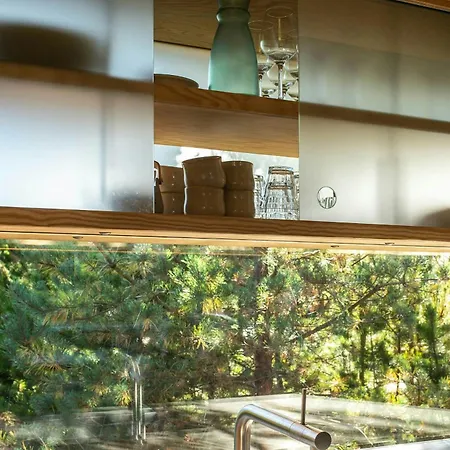 Architect-designed House Among Dunes And Trees