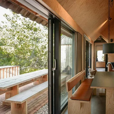 Architect-designed House Among Dunes And Trees