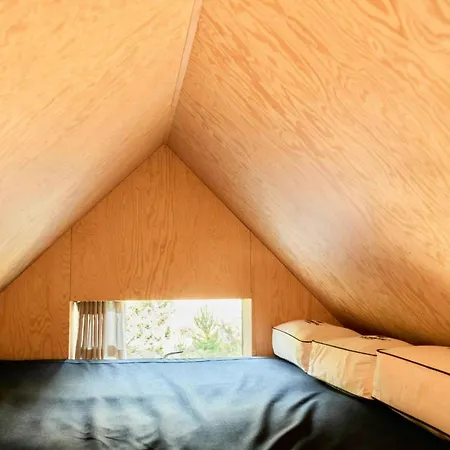 Architect-designed House Among Dunes And Trees Casa de Férias
