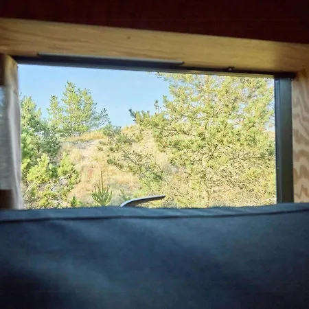 Architect-designed House Among Dunes And Trees Casa de Férias *