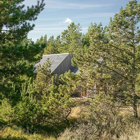 Architect-designed House Among Dunes And Trees